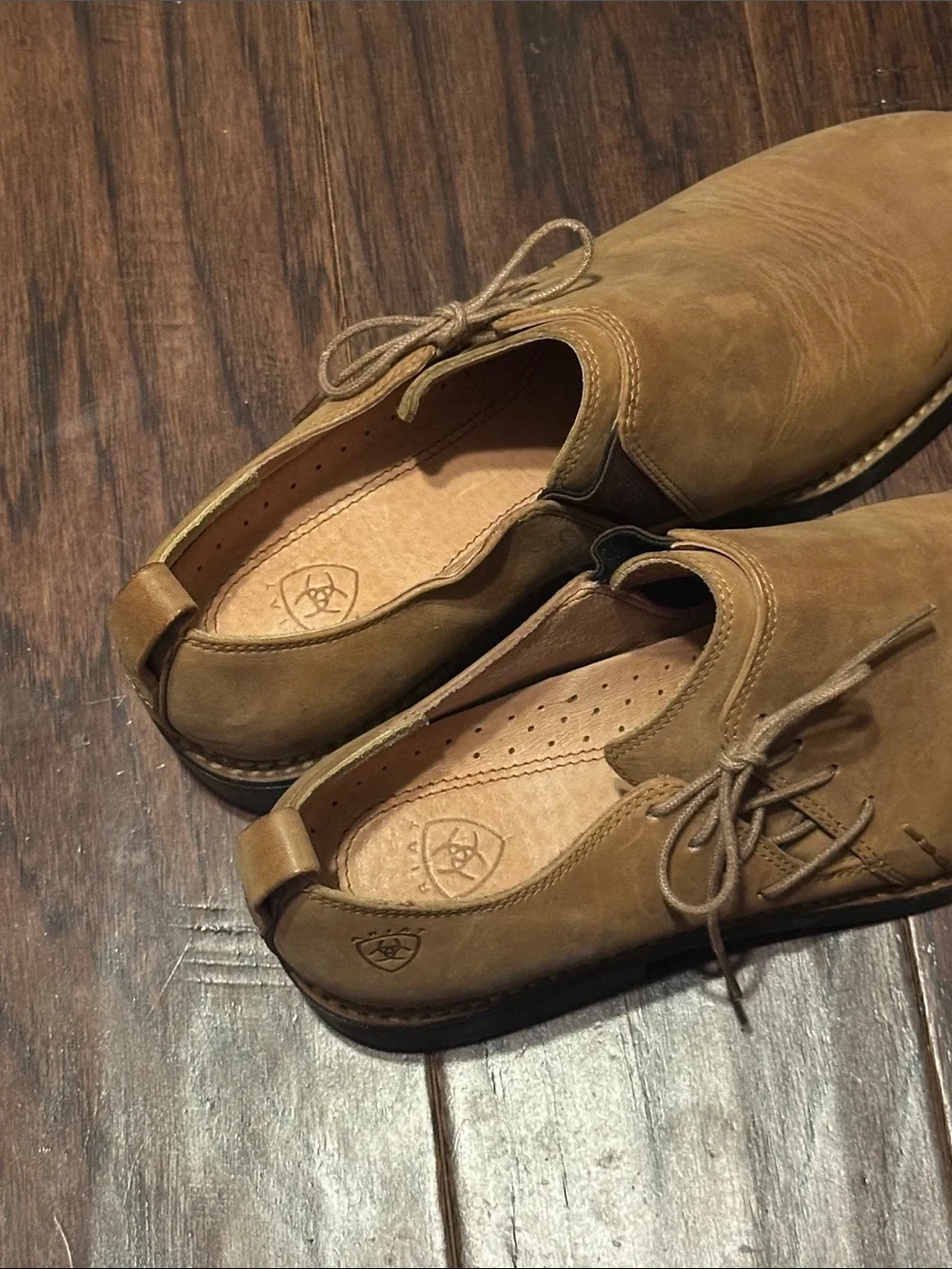 Ariat | “Wicklow” Suede Side-Lace Oxford - Women’s 9.5B